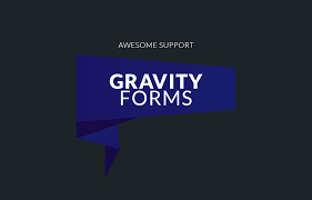 Awesome support | Gravity Forms Bridge