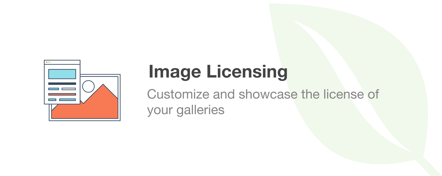 Envira gallery | Image Licensing Addon